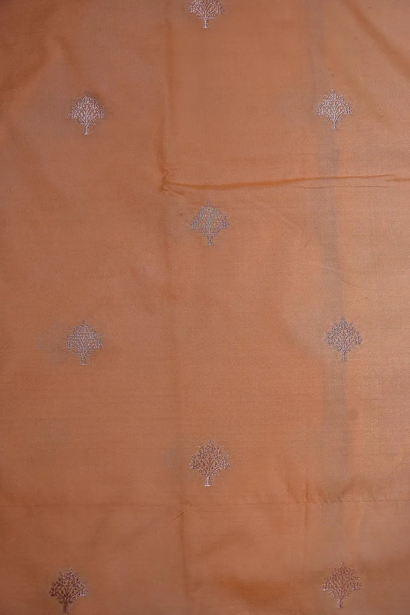 Pastel Peach Banarasi Silk Saree Silver Zari Elegance Border(RLSS-160)