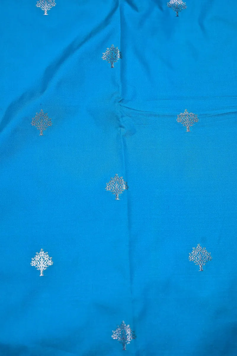 Sky Blue Handloom Banarasi Silk Saree with Silver Zari Woven Border(RLSS-159)