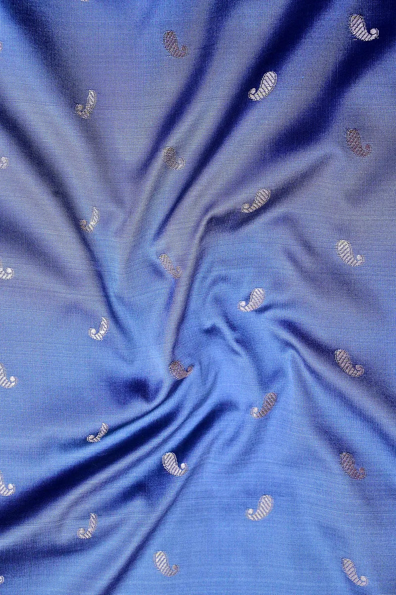 Slate Grey Banarasi Kataan Silk Saree with Golden  Zari Paisley Motifs & Woven Border(RLSS-133)